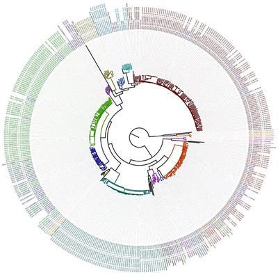 Frontiers Comparison Of The Multiple Platforms To Identify Various Aeromonas Species Microbiology