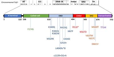 Frontiers | Clinical Profile of Hyper-IgE Syndrome in India | Immunology