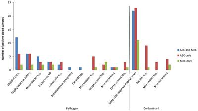 Frontiers | Implementation of Automated Blood Culture With Quality ...