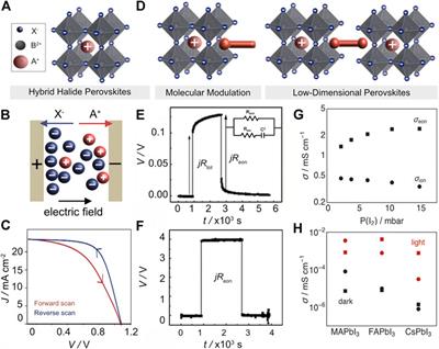 Frontiers | Mixed Conductivity of Hybrid Halide Perovskites: Emerging ...