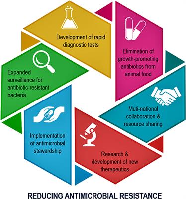 Frontiers  Consumption Trends of Antibiotics in Brazil During the