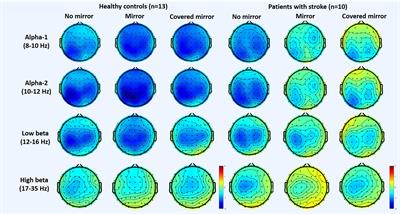 Frontiers Event Related Desynchronization During Mirror Visual Feedback A Comparison Of Older Adults And People After Stroke