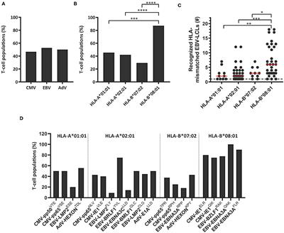 Frontiers Magnitude Of Off Target Allo Hla Reactivity By Third Party Donor Derived Virus Specific T Cells Is Dictated By Hla Restriction Immunology