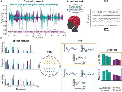 Neural Markers of Speech Comprehension: Measuring EEG Tracking of