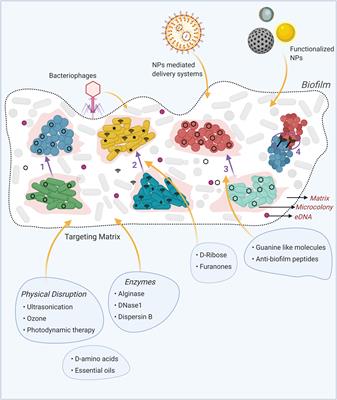 Evolving biofilm inhibition and eradication in clinical settings