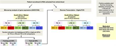 Discovery Award to decode TB DNA — Nuffield Department of Medicine