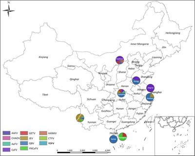 Frontiers Monitoring Mosquito Borne Arbovirus In Various Insect Regions In China In 18 Cellular And Infection Microbiology