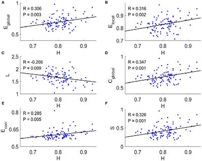 Frontiers | Optimal Organization of Functional Connectivity Networks ...