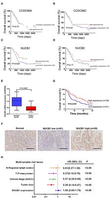 Frontiers | NUCB1 Suppresses Growth and Shows Additive Effects With ...