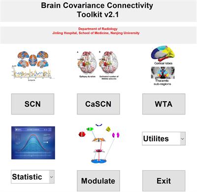 Frontiers  Morphometric and Functional Brain Connectivity