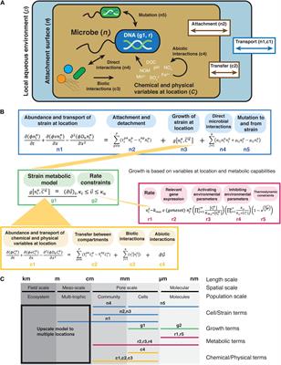 Frontiers  Development and First Tests of a Lab-Scale Electric Field for  Investigating Potential Effects of Electric Barriers on Aquatic Invasive  Invertebrates