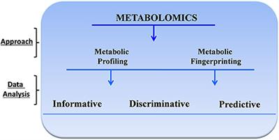 Frontiers | Metabolomics in Prenatal Medicine: A Review