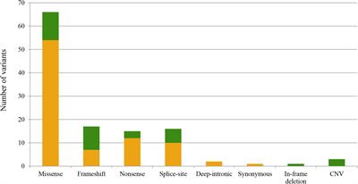 Frontiers Updating The Genetic Landscape Of Inherited Retinal Dystrophies Cell And Developmental Biology