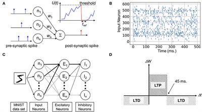 Spiking Neural Network (SNN) With Memristor Synapses Having Non-linear Weight Update