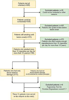 Frontiers | Disruption of Cigarette Smoking Addiction After Dorsal ...