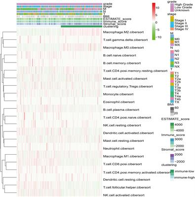 Frontiers Identification Of An Immune Related Risk Signature Correlates With Immunophenotype And Predicts Anti Pd L1 Efficacy Of Urothelial Cancer Cell And Developmental Biology