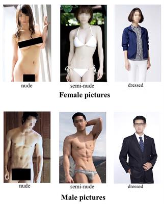 Asian Shelf Bra Fuck - Frontiers | The East Asian Erotic Picture Dataset and Gender Differences in  Response to Opposite-Sex Erotic Stimuli in Chinese College Students