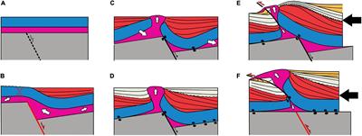 Frontiers | Stretching and Contraction of Extensional Basins With Pre ...