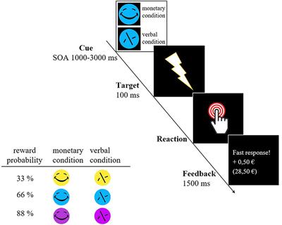 Frontiers Ventral Striatal Activation During Reward Anticipation Of Different Reward Probabilities In Adolescents And Adults Human Neuroscience