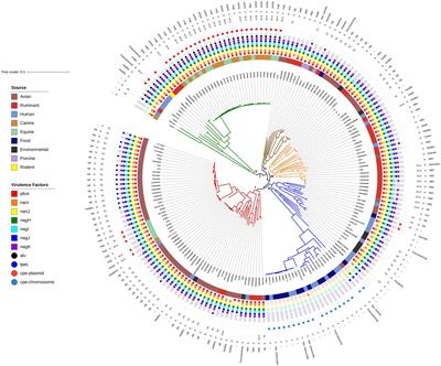 Frontiers | Comparative Genomics of Clostridium perfringens Reveals ...