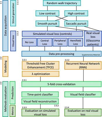 Frontiers  Opportunities and Limitations of a Gaze-Contingent Display to  Simulate Visual Field Loss in Driving Simulator Studies