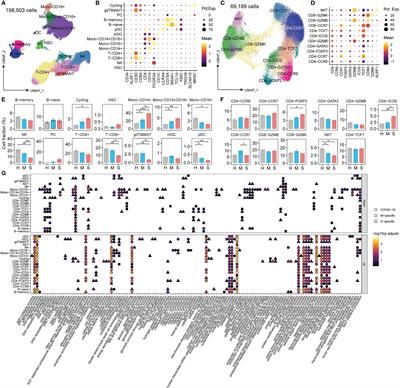 Frontiers | Single-Cell RNA Sequencing Analysis of the Immunometabolic ...