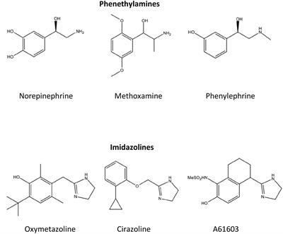 Frontiers Current Developments On The Role Of A1 Adrenergic Receptors In Cognition Cardioprotection And Metabolism Cell And Developmental Biology