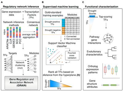 Frontiers Using Work Based Machine Learning To Predict Transcription Factors Involved In Drought Resistance Geics