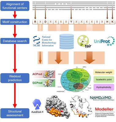 Frontiers | Computational Identification of Functional Centers in ...