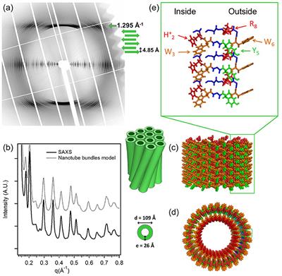 Frontiers Multiscale Structural Elucidation Of Peptide Nanotubes By X Ray Scattering Methods Bioengineering And Biotechnology