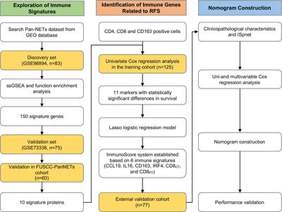 Frontiers | From the Immune Profile to the Immunoscore: Signatures for ...