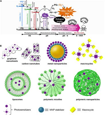 Controlling methylene blue aggregation: a more efficient alternative to  treat Candida albicans infections using photodynamic therapy -  Photochemical & Photobiological Sciences (RSC Publishing)  DOI:10.1039/C8PP00238J