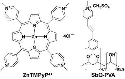 Frontiers  Toward Universal Photodynamic Coatings for Infection Control