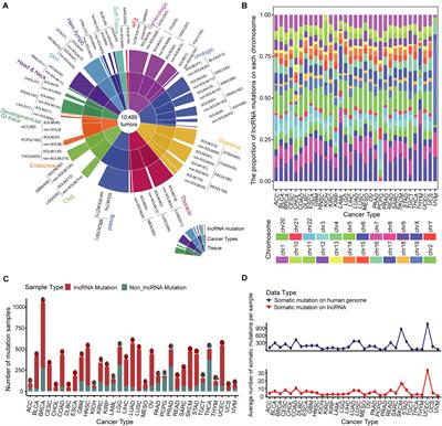 Pan-cancer atlas of somatic core and linker histone mutations