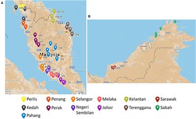 Frontiers Geographical Factor Influences The Metabolite Distribution Of House Edible Bird S Nests In Malaysia