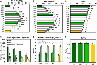 Frontiers Leaf Phenological Stages Of Winter Oilseed Rape Brassica Napus L Have Conserved Photosynthetic Efficiencies But Contrasted Intrinsic Water Use Efficiencies At High Light Intensities Plant Science