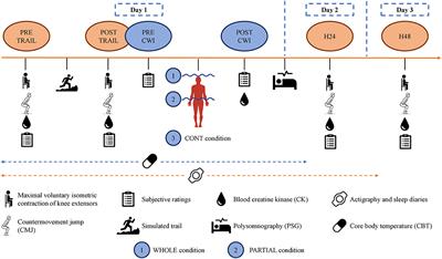 Frontiers  Effect of the Depth of Cold Water Immersion on Sleep  Architecture and Recovery Among Well-Trained Male Endurance Runners