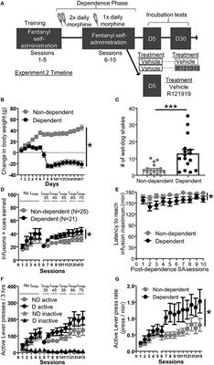 Frontiers | Corrigendum: Role of BNST CRFR1 Receptors in Incubation of ...