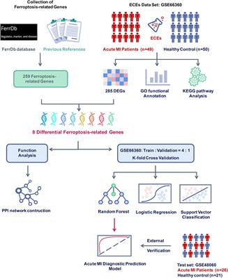 Frontiers | Development and Validation of a Random Forest Diagnostic ...