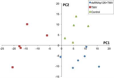 Frontiers Dsrna Molecules From The Tobacco Mosaic Virus P126 Gene Counteract Tmv Induced Proteome Changes At An Early Stage Of Infection Plant Science