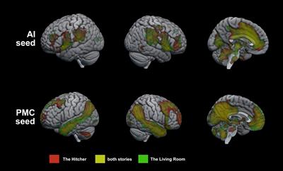 Frontiers  Functional Brain Connectivity During Narrative