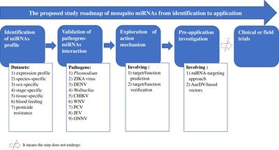 Frontiers Development Of Mirna Based Approaches To Explore The Interruption Of Mosquito Borne Disease Transmission Cellular And Infection Microbiology