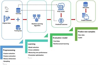 Frontiers | Artificial Intelligence for Clinical Decision Support in Sepsis