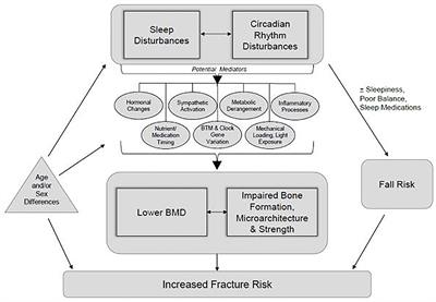 Soccer position could influence risk of brain disease, Science