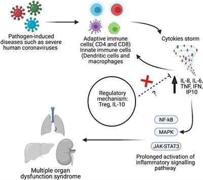 Frontiers | Profile of Circulatory Cytokines and Chemokines in Human ...