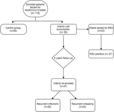 Interfaces do Quiz PG  Download Scientific Diagram