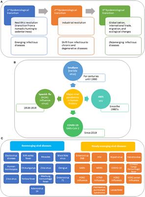 Frontiers | Vaccines and Antivirals: Grand Challenges and Great ...