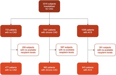 Level 1547 old forest road (Hazard class 6) 