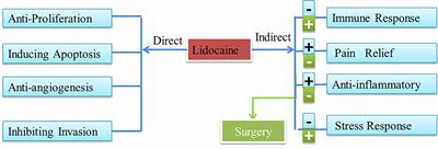 Frontiers  Local Anesthetic Lidocaine and Cancer: Insight Into Tumor  Progression and Recurrence