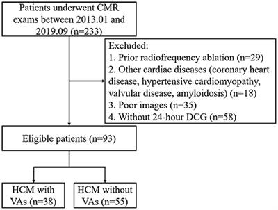 Frontiers | Global Circumferential Strain by Cardiac Magnetic Resonance ...